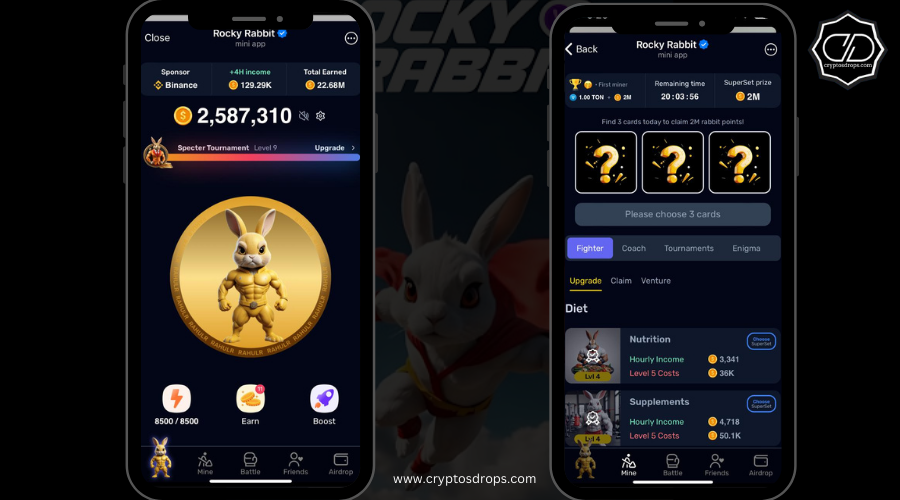 Rocky Rabbit listing Date Announced on 23 Sep 2024 Rocky Rabbit