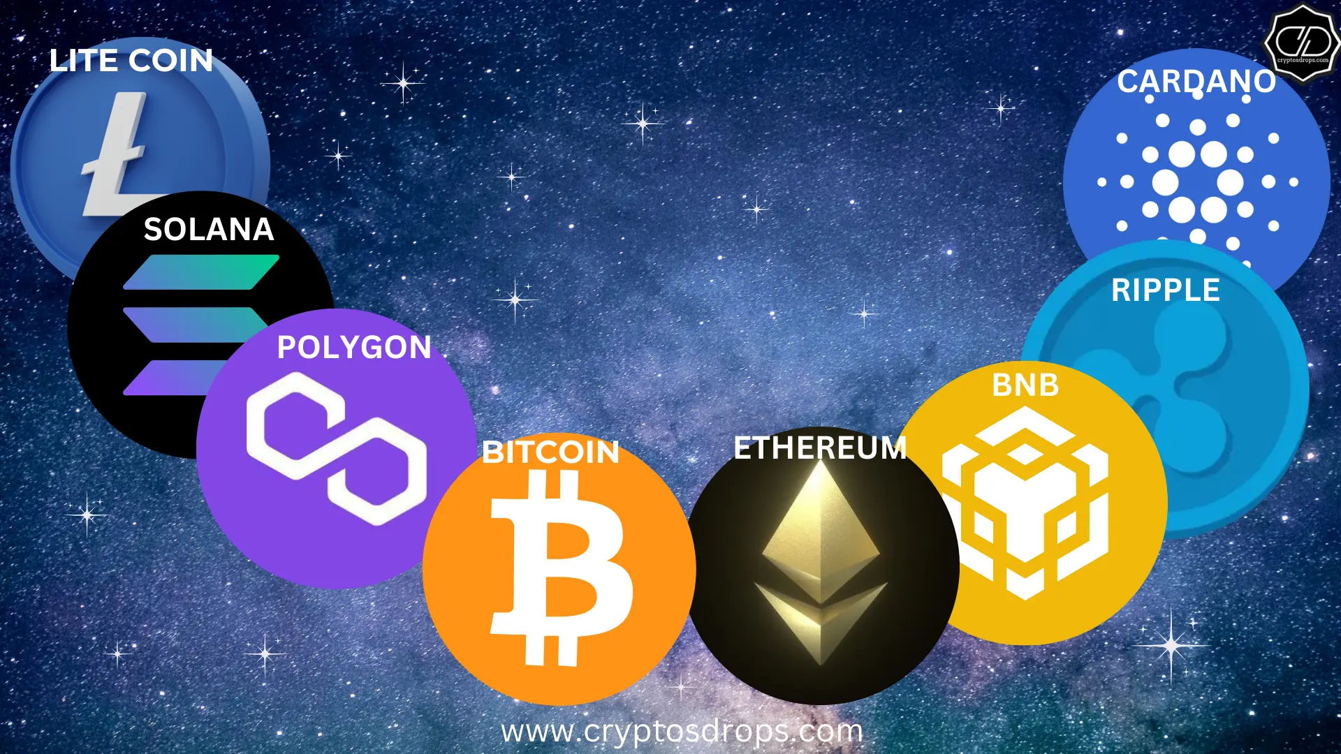 Top Crypto Leading the Market in 2024