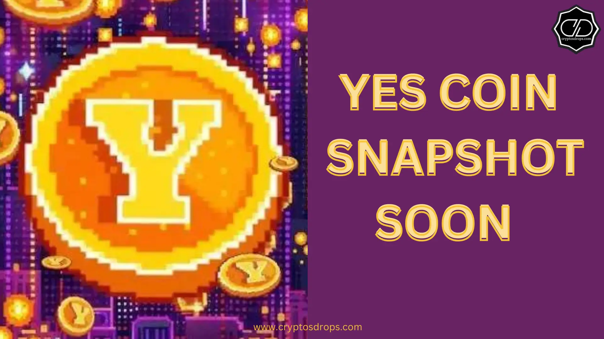 YESCOIN SNAPSHOT