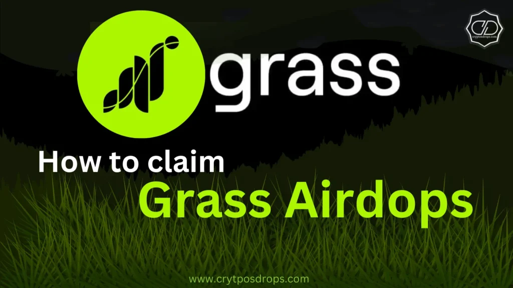 Grass Network