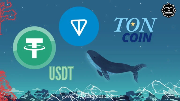 USDT Popularity on TON Network